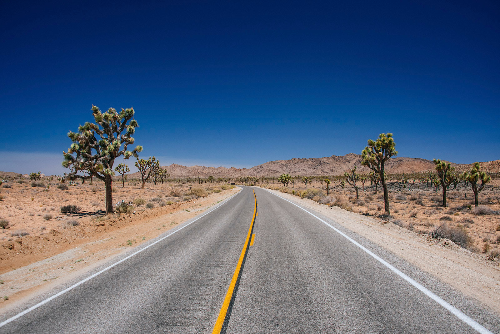 Yellow Lines on my Left 51